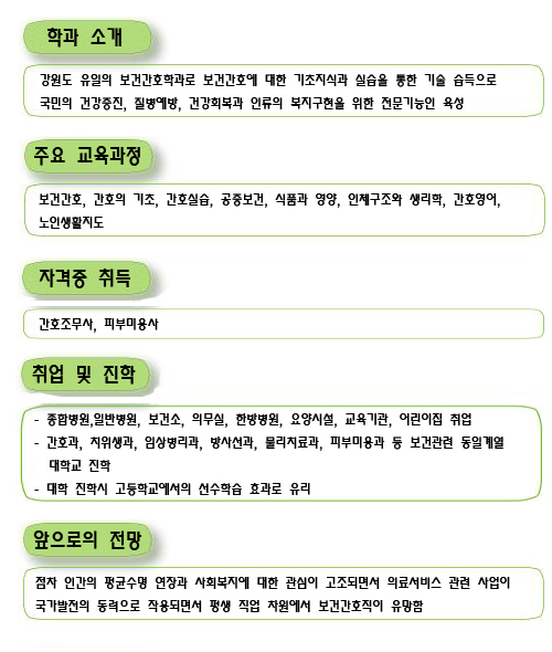 보건간호과